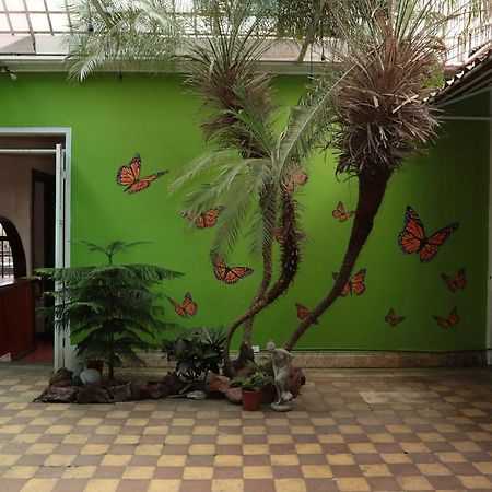 Casa Mayela Guest House San Jose  Ngoại thất bức ảnh