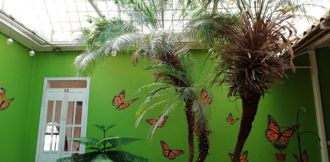 Casa Mayela Guest House San Jose  Ngoại thất bức ảnh