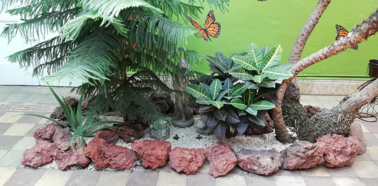 Casa Mayela Guest House San Jose  Ngoại thất bức ảnh